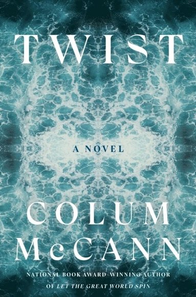bokomslag Twist: A Novel