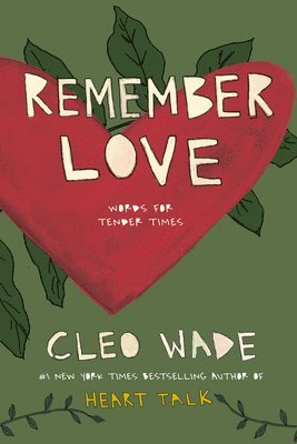 bokomslag Remember Love: Words for Tender Times