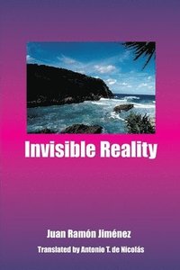 bokomslag Invisible Reality