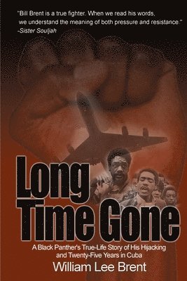 bokomslag Long Time Gone