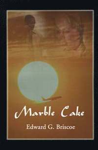 bokomslag Marble Cake