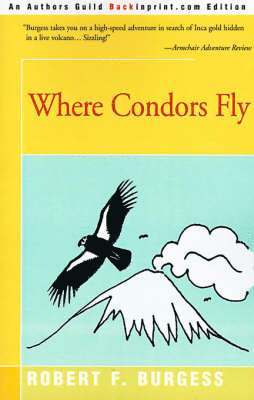 Where Condors Fly