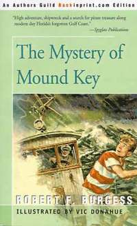 bokomslag The Mystery of Mound Key