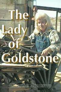 bokomslag The Lady of Goldstone