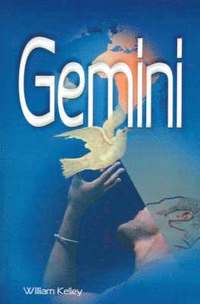 bokomslag Gemini