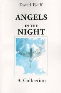 bokomslag Angels in the Night