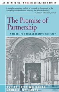 bokomslag The Promise of Partnership