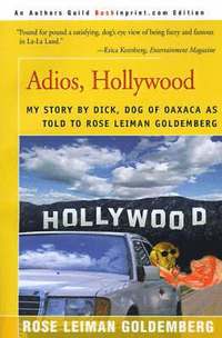 bokomslag Adios, Hollywood
