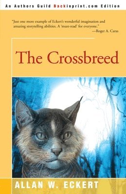 bokomslag Crossbreed