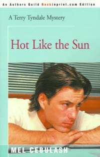 bokomslag Hot Like the Sun