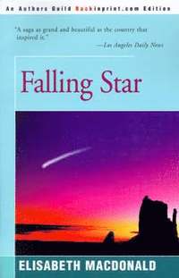 bokomslag Falling Star