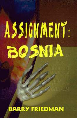 Assignment: Bosnia 1