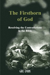 bokomslag Firstborn of God