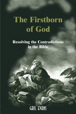 bokomslag Firstborn of God