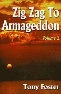bokomslag Zig Zag to Armageddon