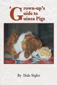 bokomslag A Grown-Up's Guide to Guinea Pigs