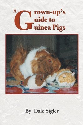 bokomslag A Grown-Up's Guide to Guinea Pigs