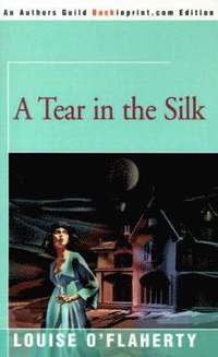 bokomslag A Tear in the Silk