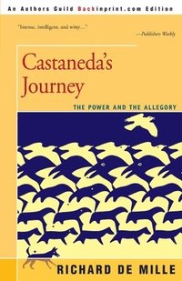 bokomslag Castaneda's Journey