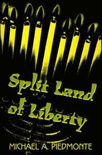 bokomslag Split Land of Liberty