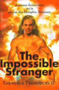 bokomslag Impossible Stranger