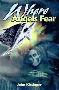 bokomslag Where Angels Fear