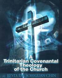 bokomslag A Trinitarian Covenantal Theology of the Church