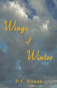 bokomslag Wings of Winter