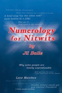 bokomslag Numerology for Nitwits