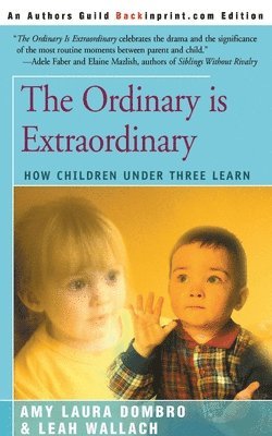 The Ordinary is Extraordinary 1