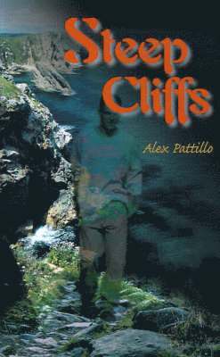 bokomslag Steep Cliffs