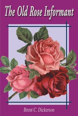 Old Rose Informant