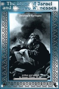 bokomslag Stone of Israel and the Two Witnesses