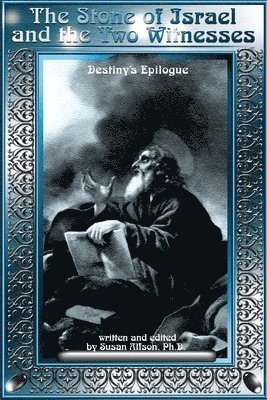 bokomslag Stone of Israel and the Two Witnesses