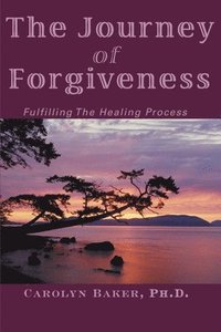 bokomslag The Journey of Forgiveness