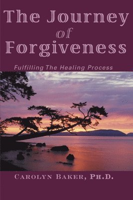 Carolyn Baker - Journey of Forgiveness, Häftad