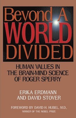 Erika Erdmann, David Stover - Beyond a World Divided, Häftad. Tillgänglighet: Lägg i varukorg