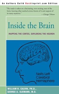 bokomslag Inside the Brain