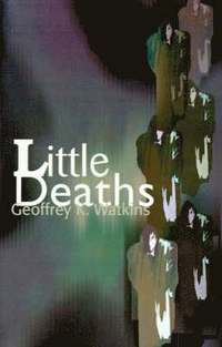 bokomslag Little Deaths