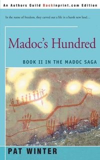 bokomslag Madoc's Hundred