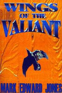 bokomslag Wings of the Valiant