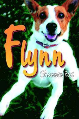 Flynn 1