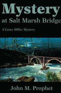 bokomslag Mystery at Salt Marsh Bridge