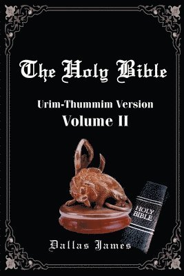 bokomslag Holy Bible: Volume 2