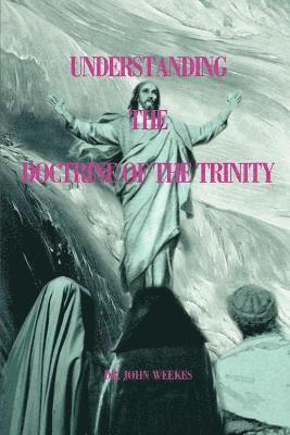 John Weekes - Understanding the Doctrine of the Trinity, Häftad