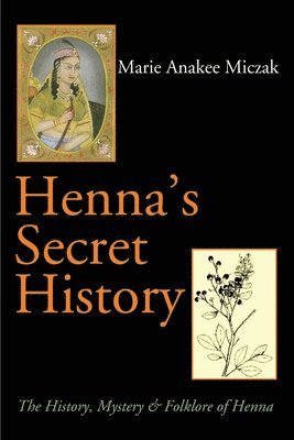 bokomslag Henna's Secret History