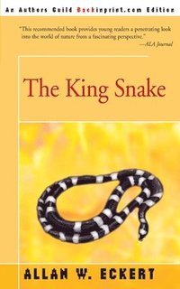 bokomslag The King Snake