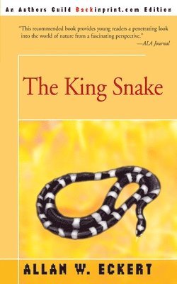 The King Snake 1