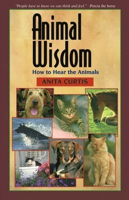 Animal Wisdom 1