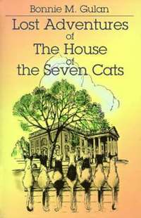 bokomslag Lost Adventures of the House of the Seven Cats